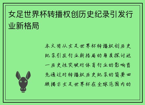 女足世界杯转播权创历史纪录引发行业新格局